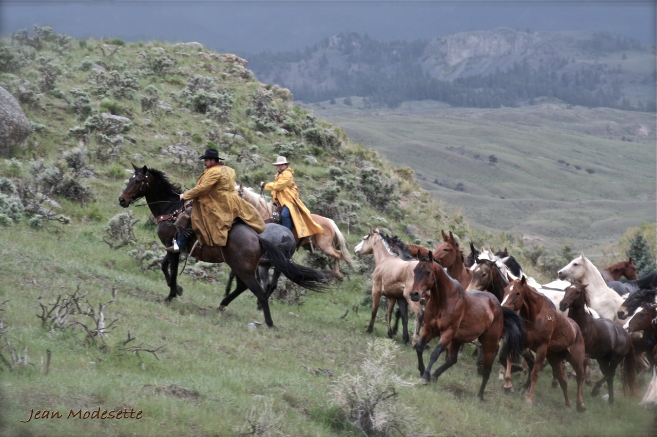 Thundering hooves and cowboy moves.