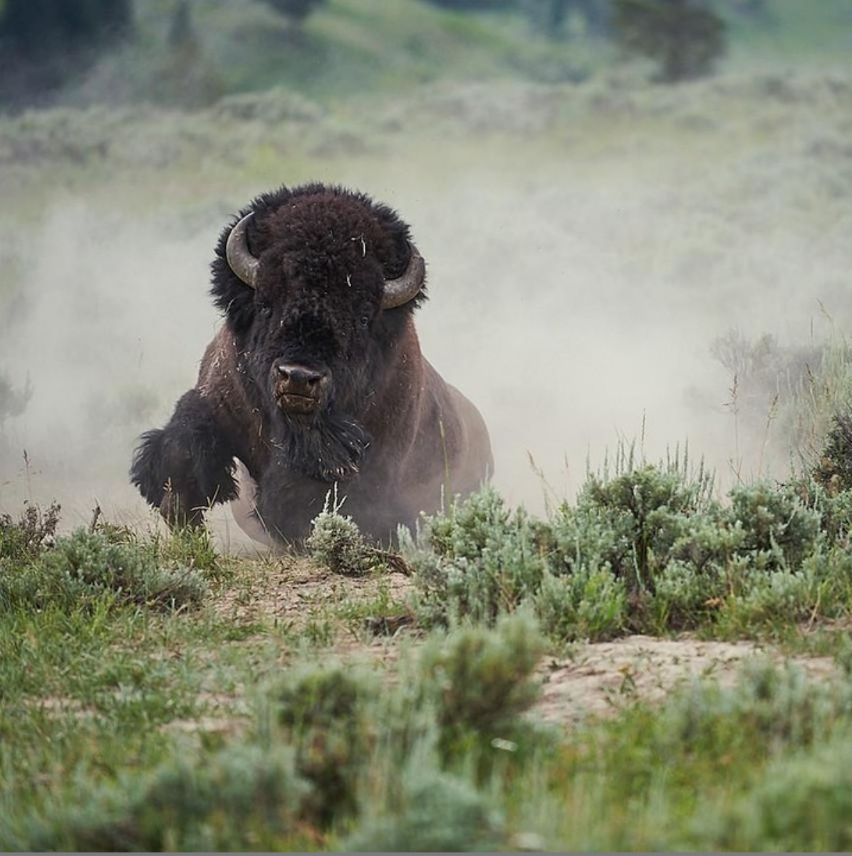Top 10 Yellowstone Country Instagram photos from 2019!