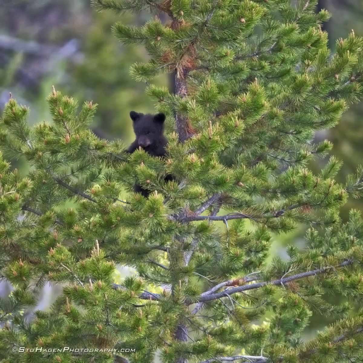 Bust out the binoculars, wildlife is out and about.