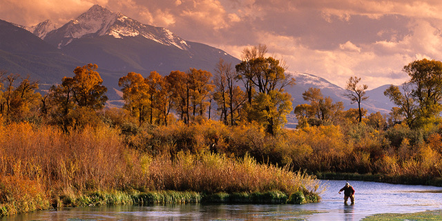 Fisherman on the Yellowstone River, Paradise Valley, Montana