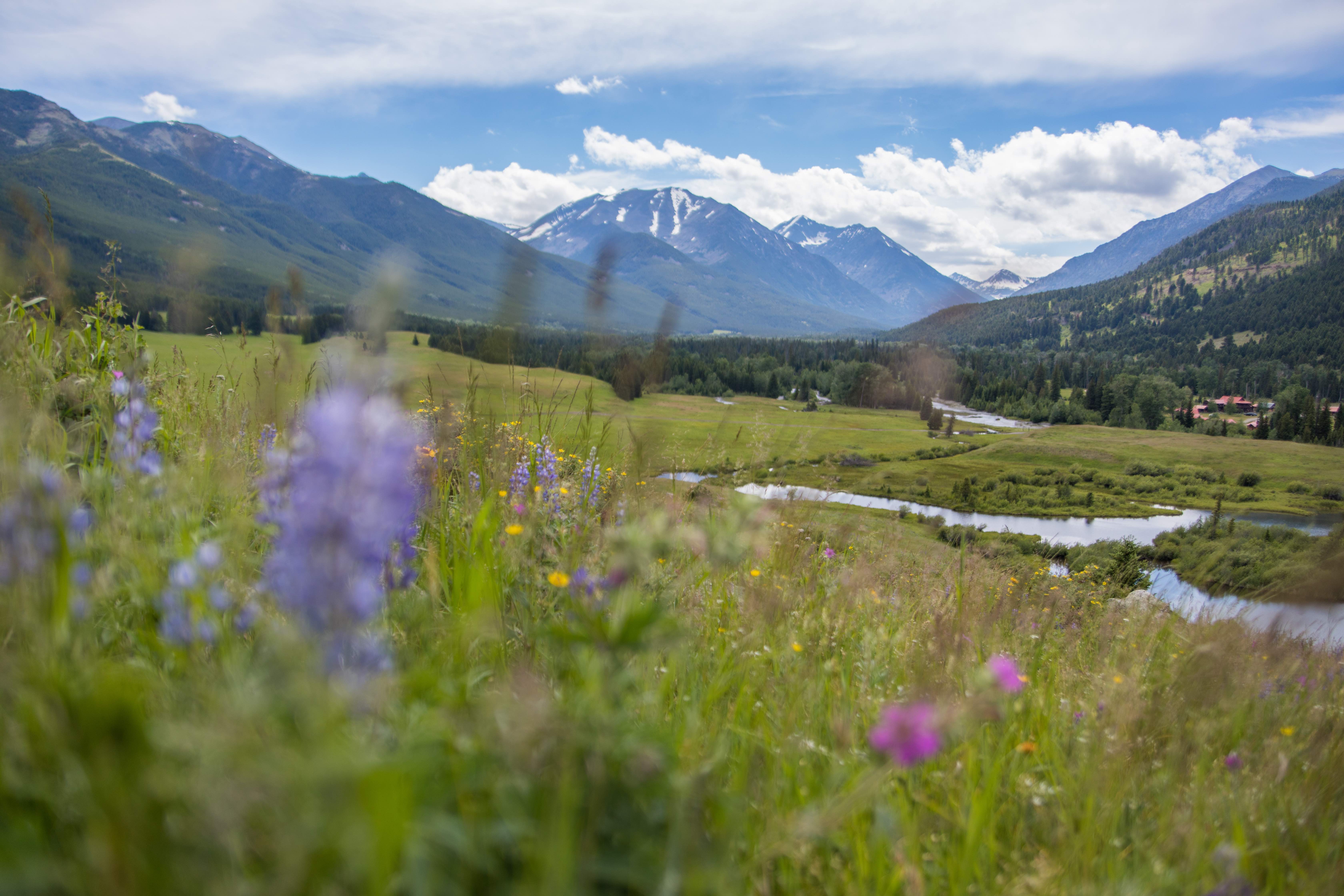 Crazy Mountains in Yellowstone Country Montana in the Summer