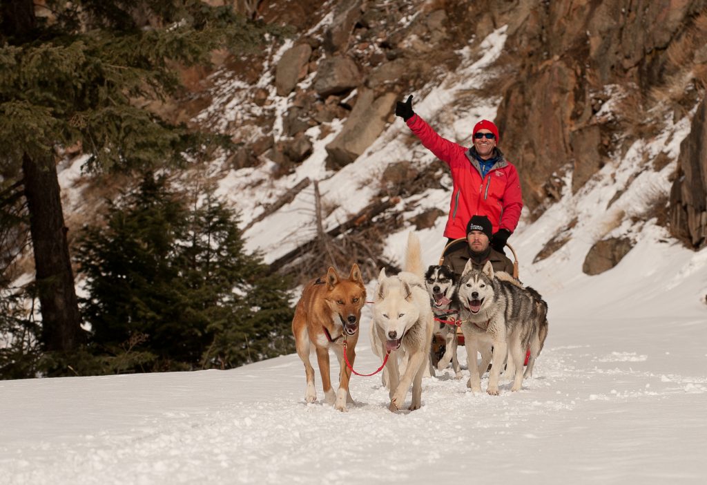 dogsledding_photo-donnie-sexton