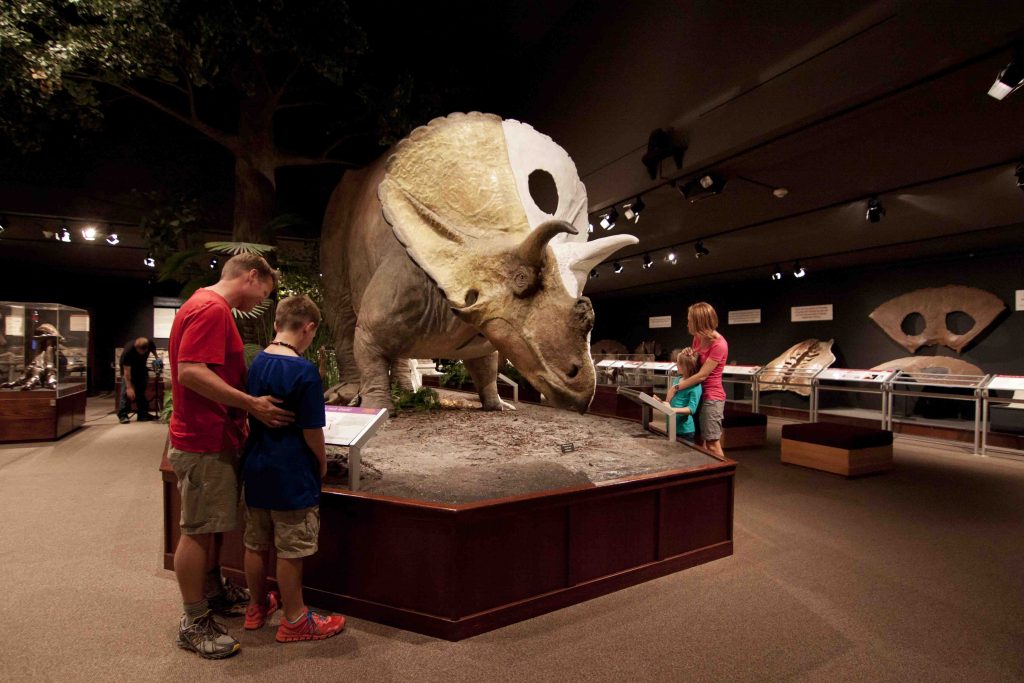 Museum of the Rockies is a renoun museum in Montana's Yellowstone Country