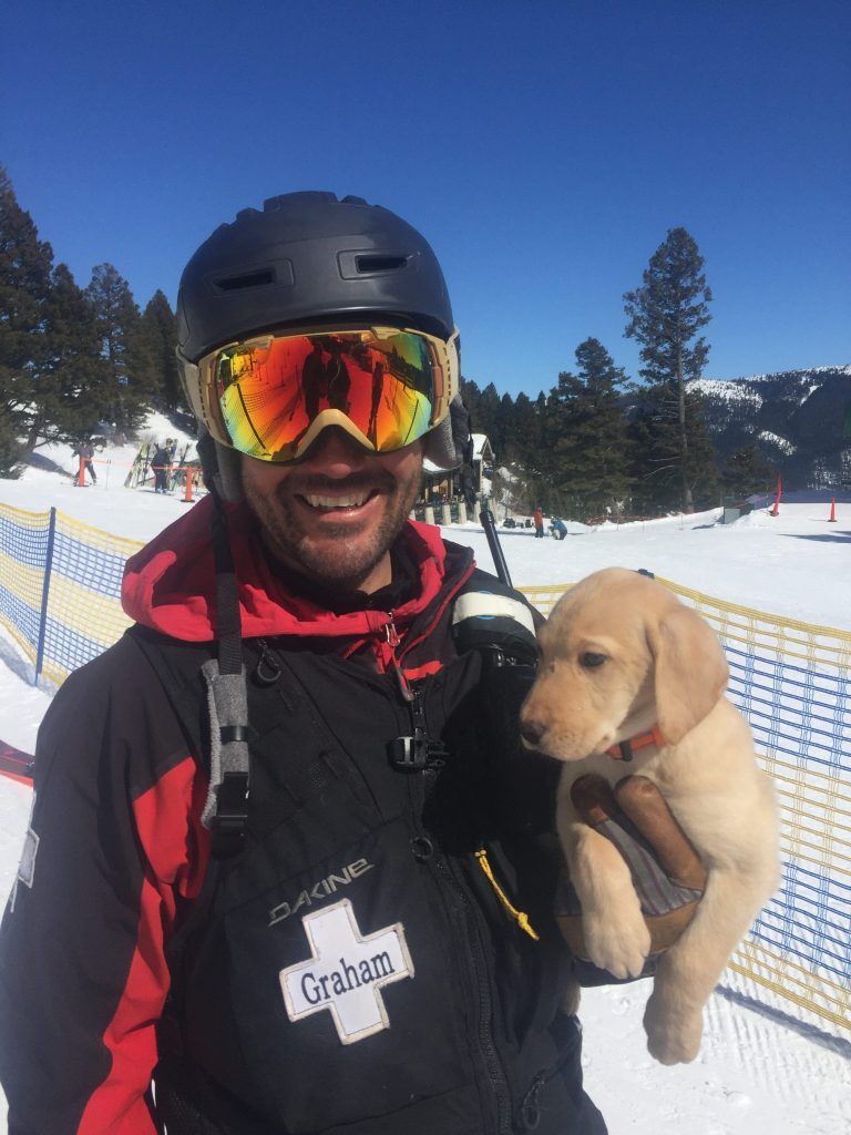 avalanche dog sleeping bag