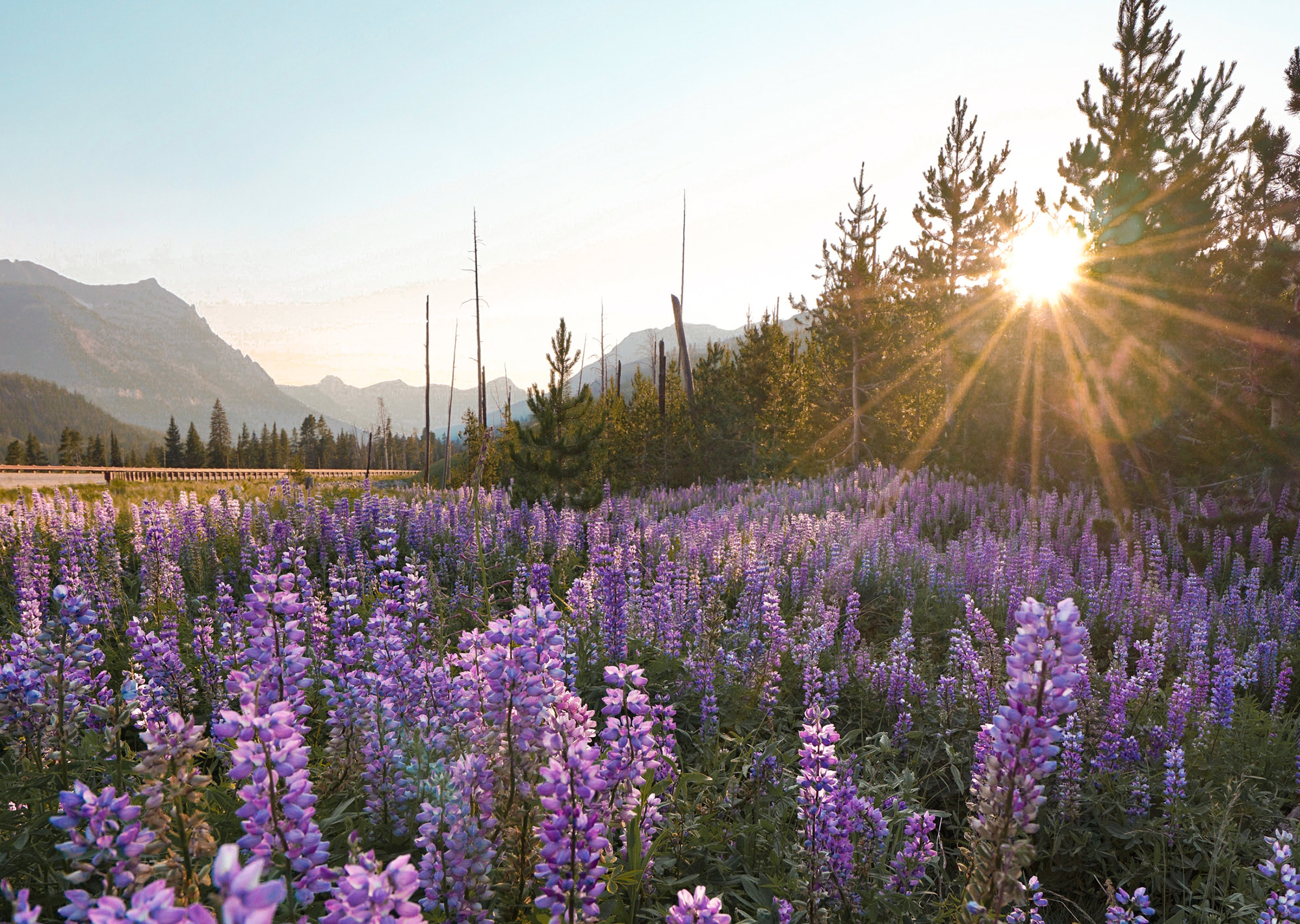 Photos that Prove that the Beartooth Highway is the Most Beautiful Drive in America