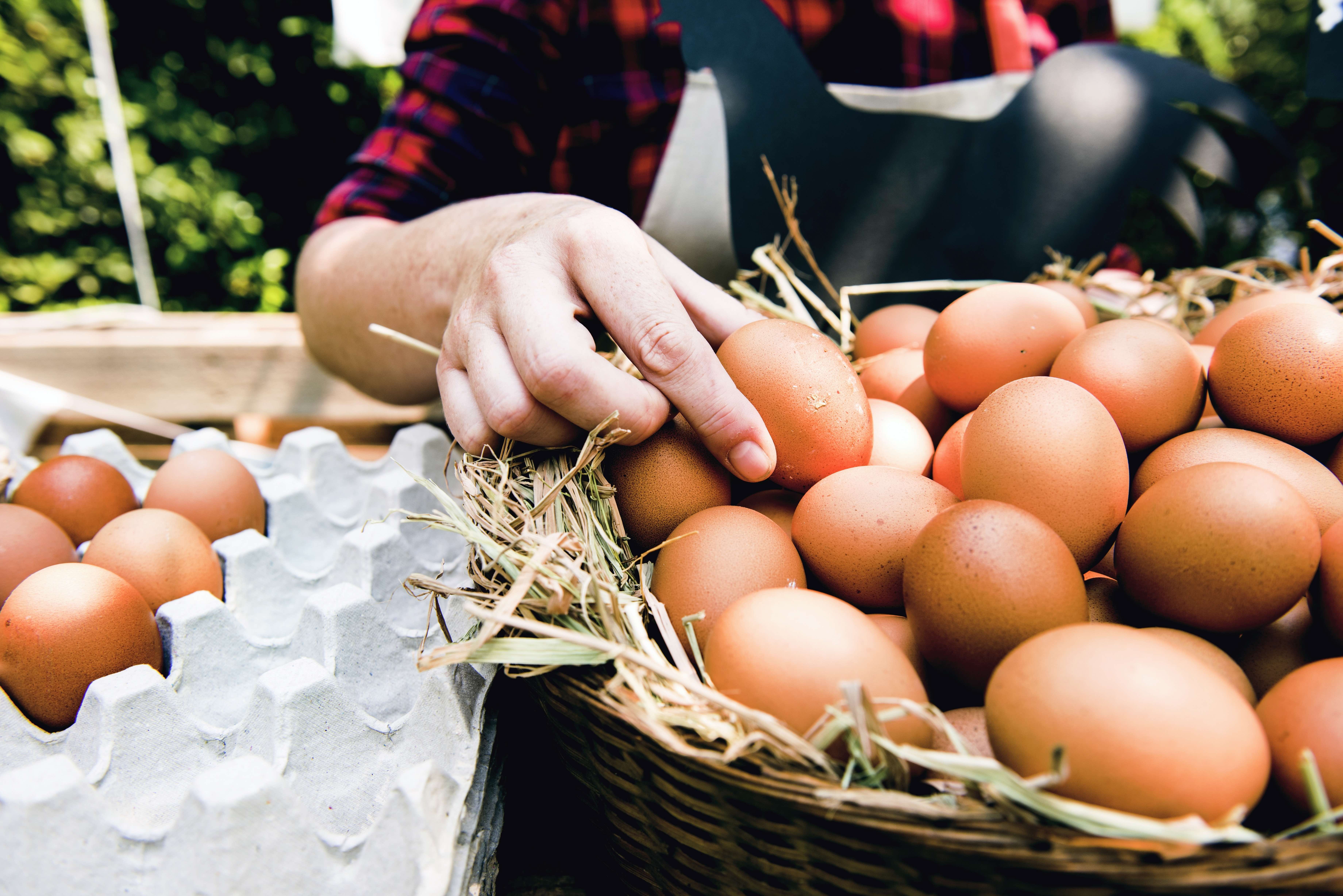 Farm fresh eggs from a Yellowstone Country Montana farmers market