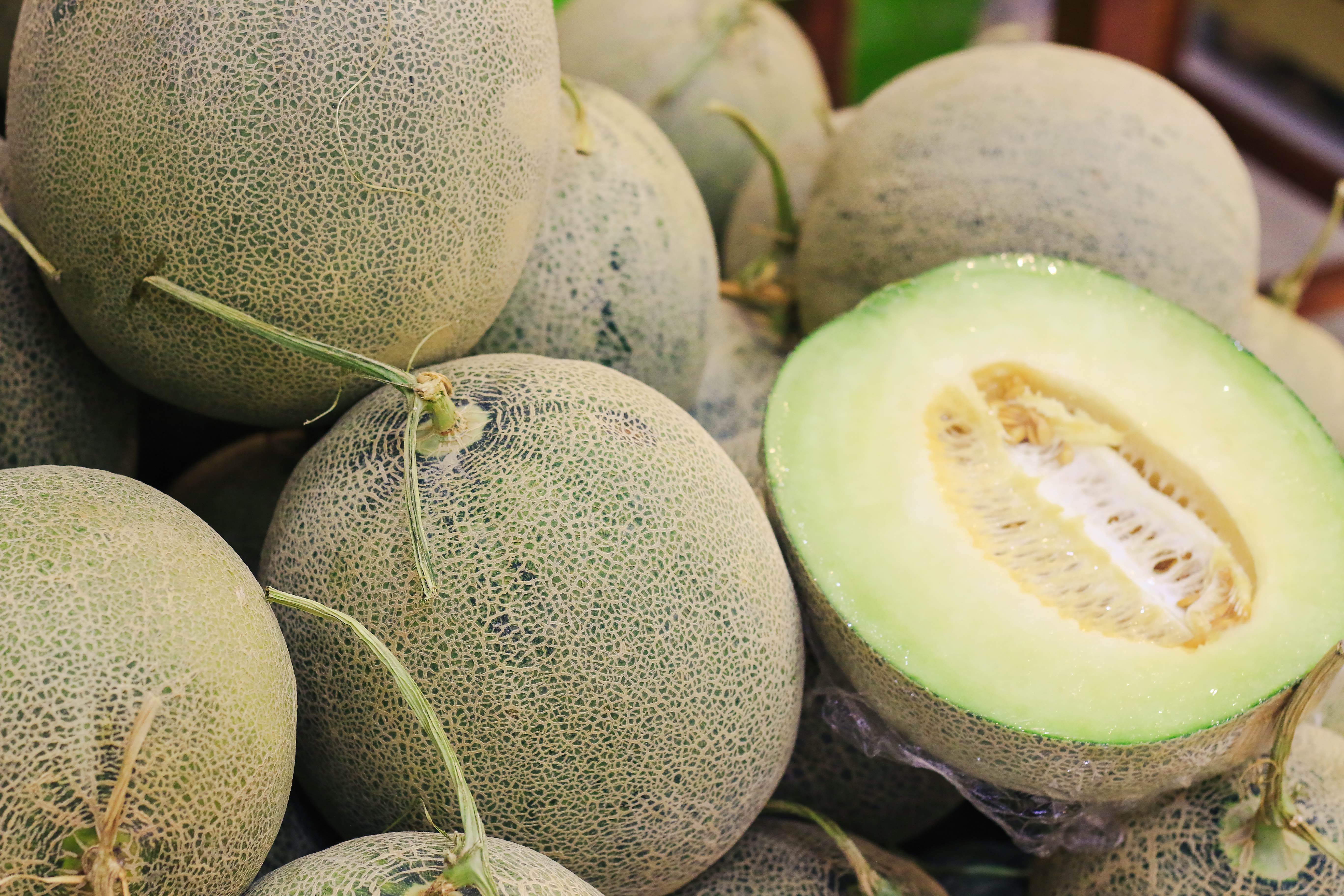 Dixon Melons can be found at farmers markets in Yellowstone Country Montana