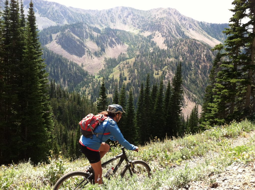 Mountain biking up mile creek on continental divide trail!