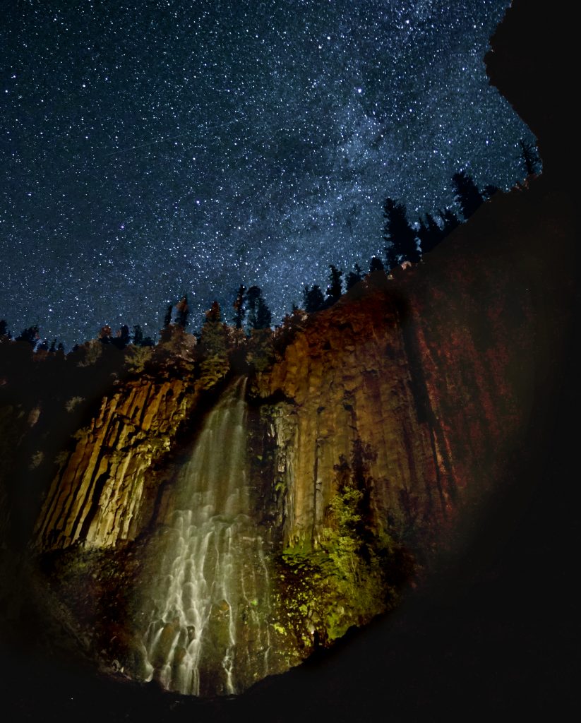 The Enchanted Forest in Yellowstone Country Montana