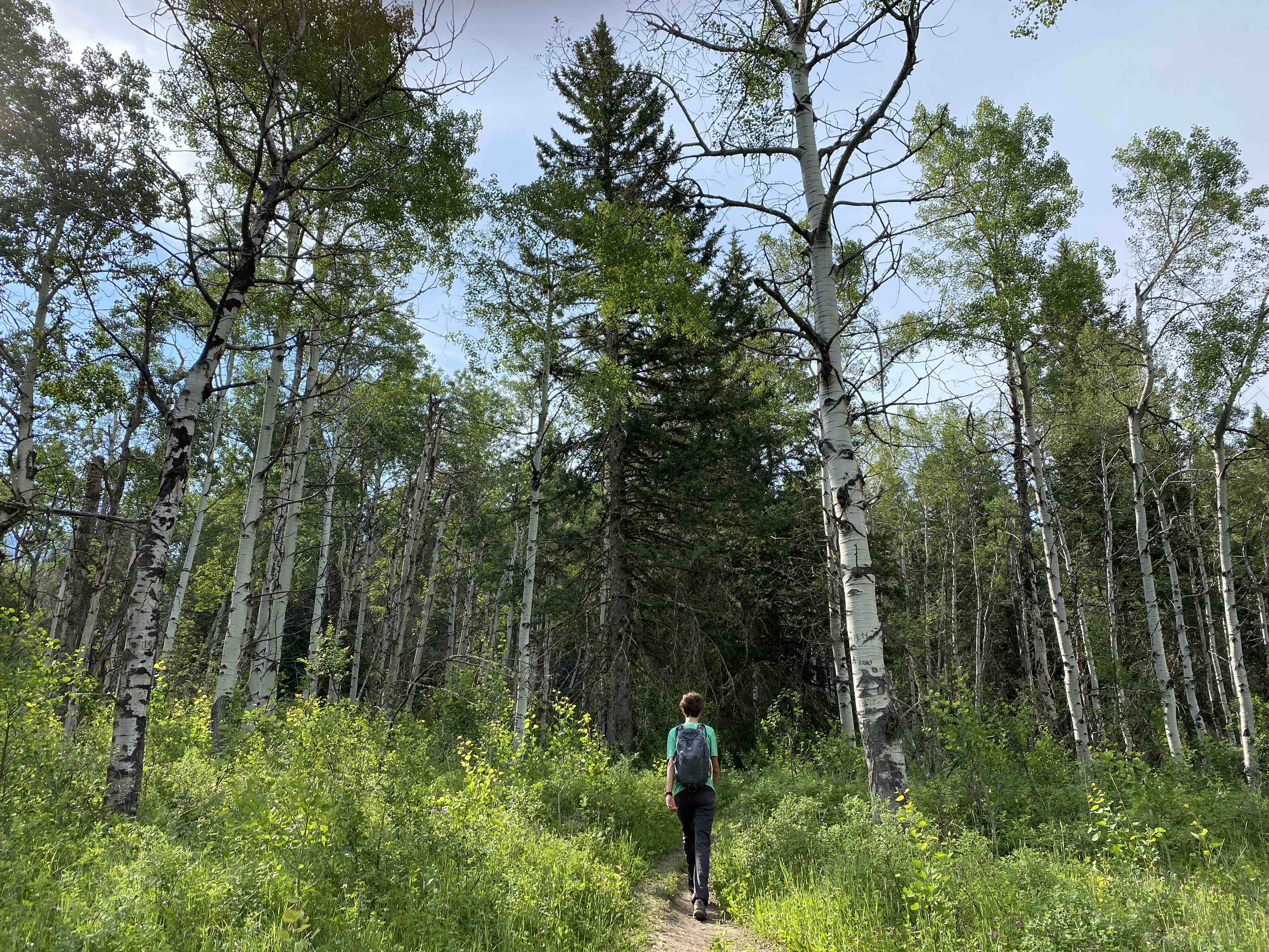 Recreate Responsibly in Yellowstone Country