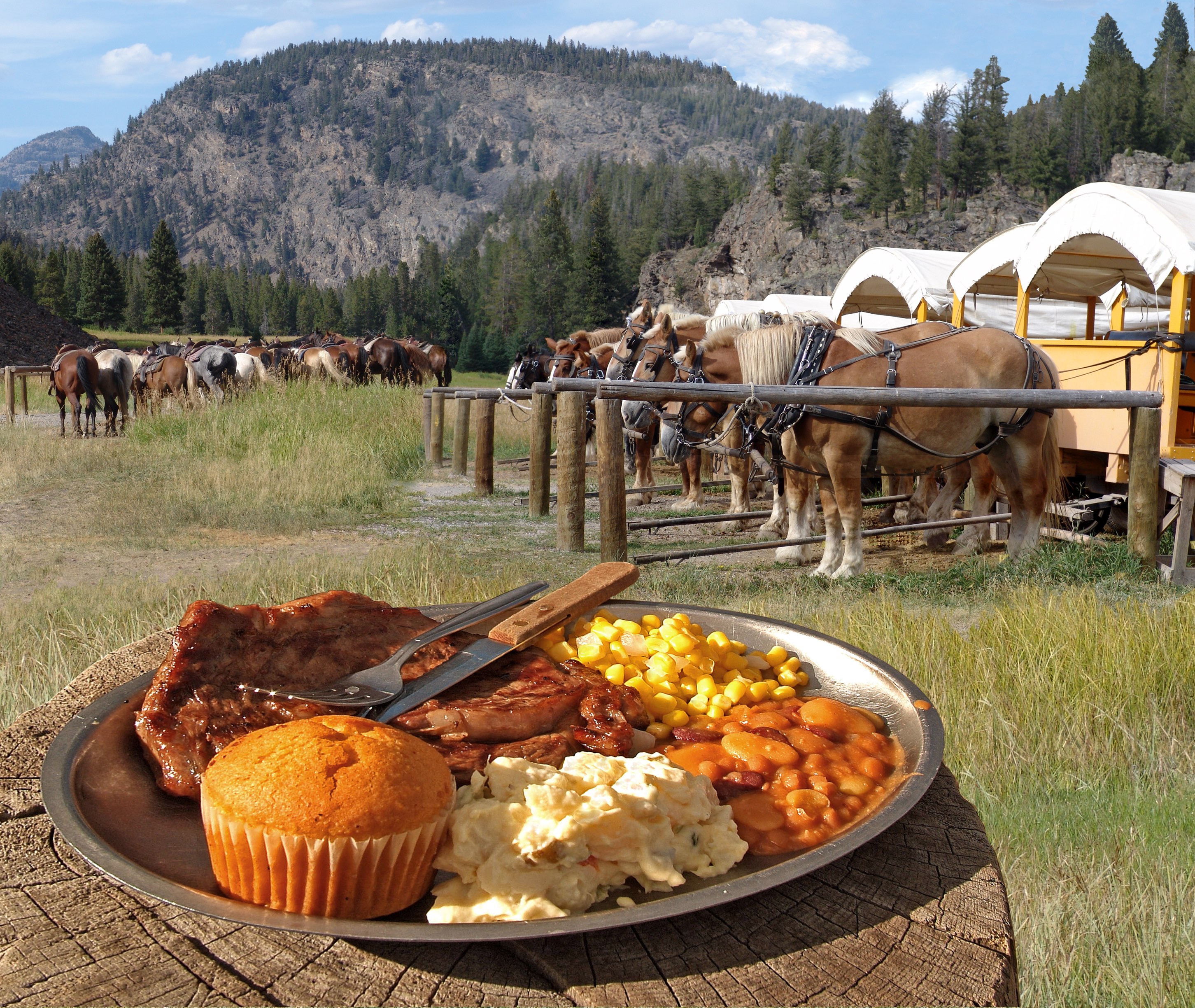 Where are the Best Places to Eat in Yellowstone? We've Got You