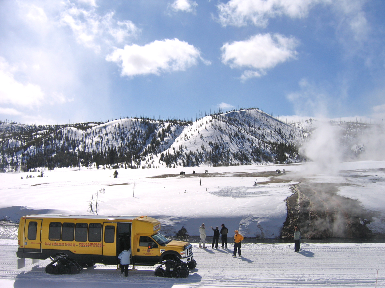 Tour in Yellowstone National Park