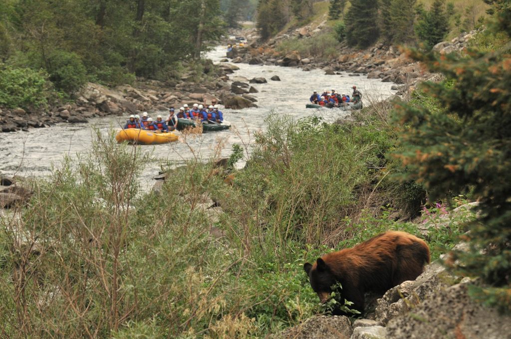 whitewater-rafting-photo-courtesy-of-geyser-whitewater