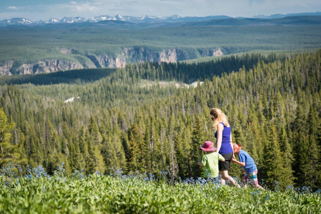 Yellowstone National Park Family Friendly Hiking