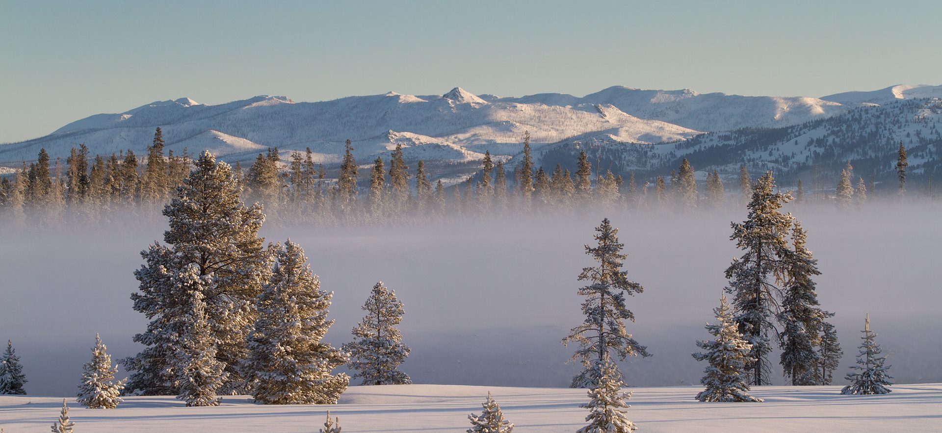 Fog sits over Yellowstone National Park in the winter.