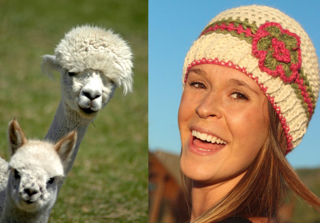 alpaca_hat