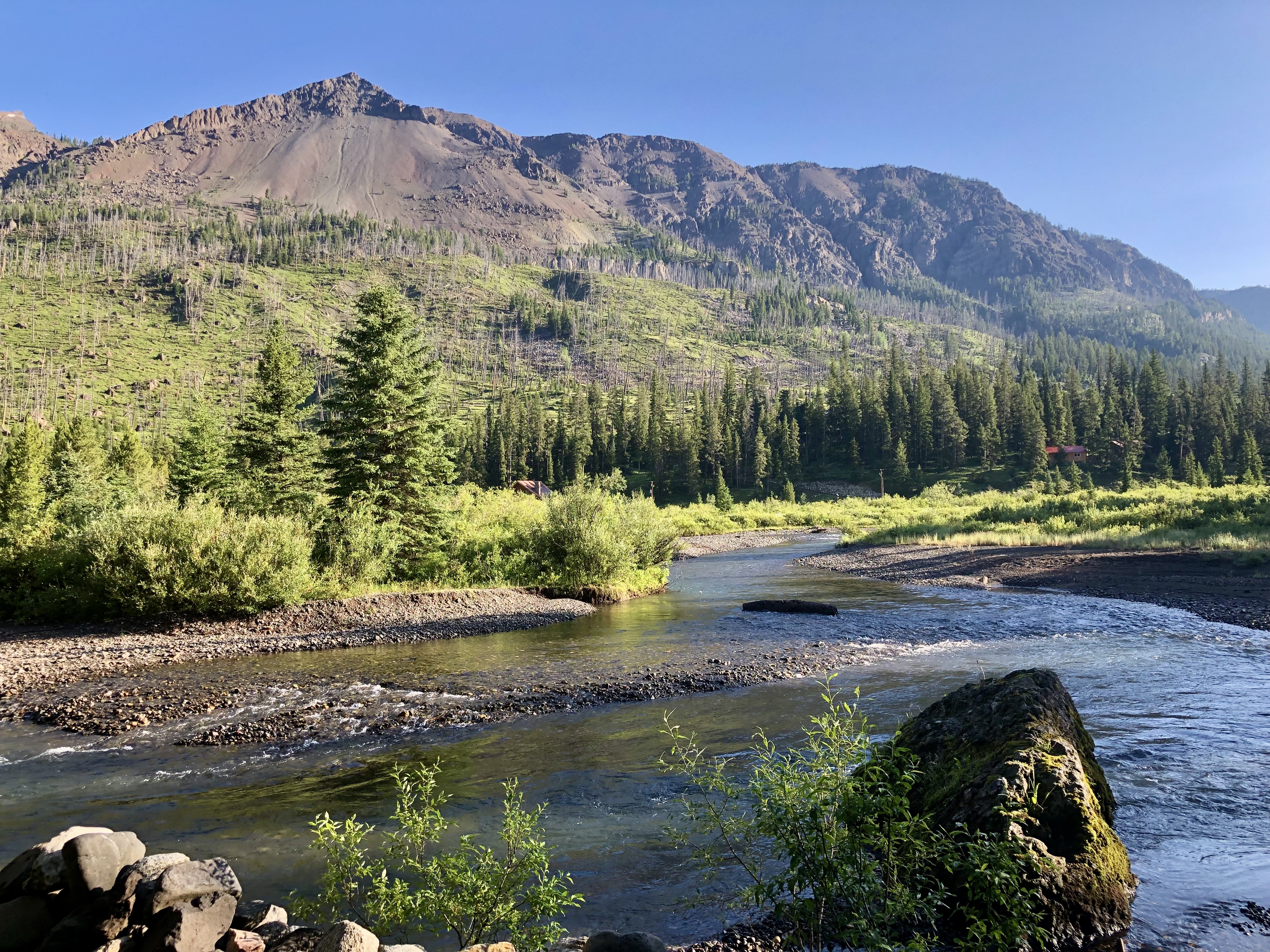 An Easterner Goes to Montana