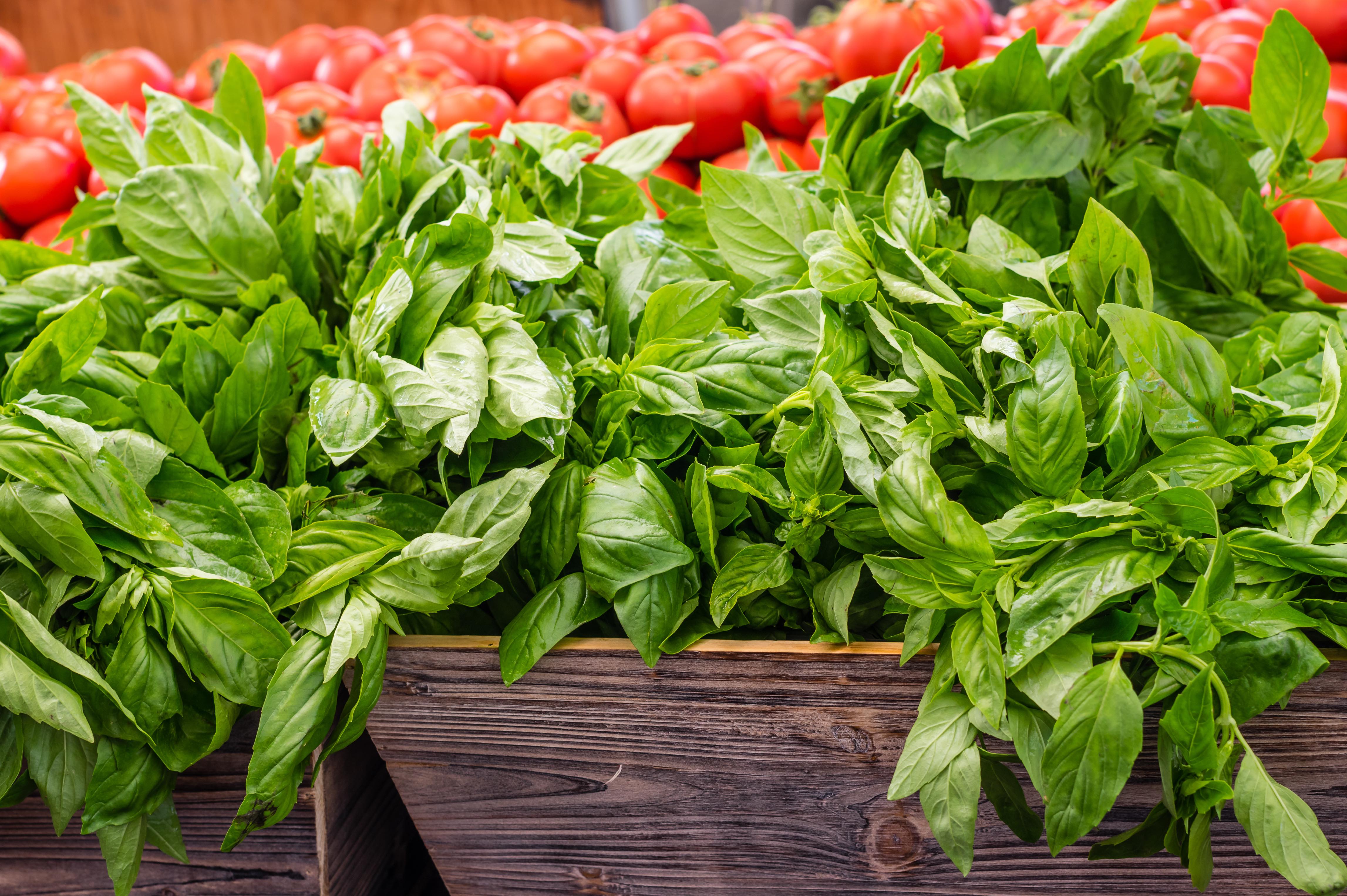 Fresh produce at a Yellowstone Country Montana farmers Market