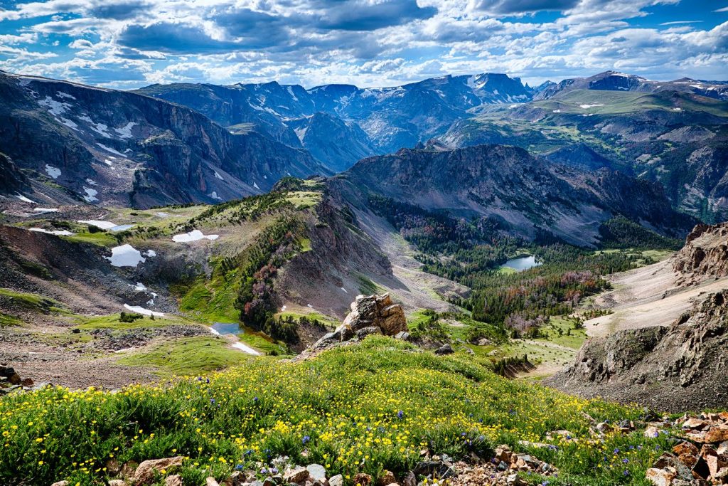 View from 1st switchback west of Gardiner Lake along the Beartooth Highway. Alpine flowers and Mirror Lake in foreground. Beartooth Mtns. and Hellroaring Plateau in background.