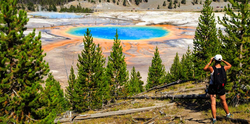 Grand Prismatic Springs in Yellowstone National Park