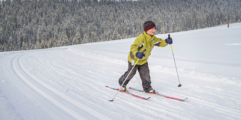 Young boy Nordic skiing. 