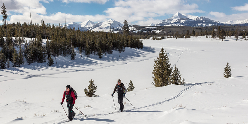 Skiers on Bunsen Peak Road Ski Trail, Yellowstone National Park