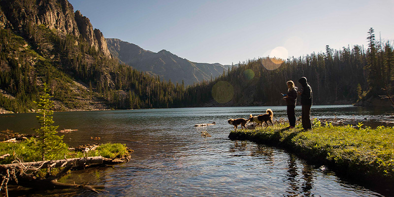 Bring Your Best Friend Along; Pet Friendly Travel in Montana's Yellowstone Country