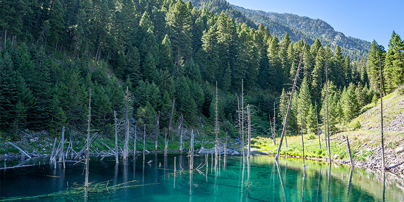Earthquake Lake