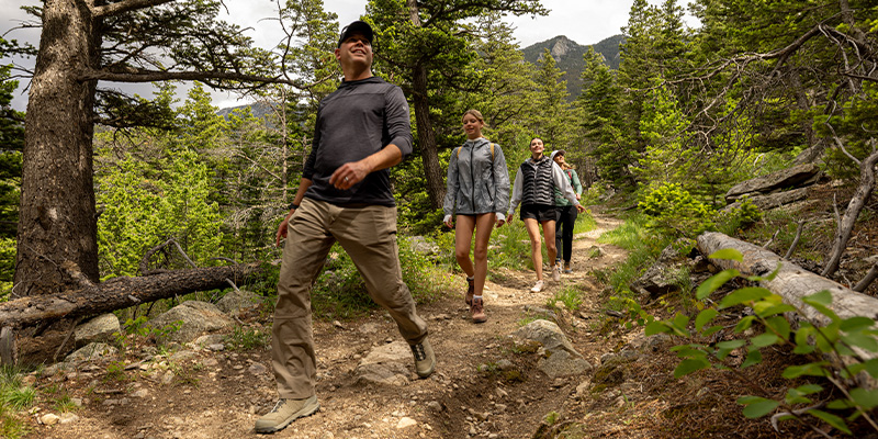 Custer Gallatin National Forest