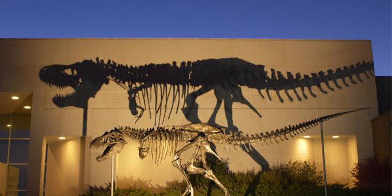 Big Mike, Museum of the Rockies