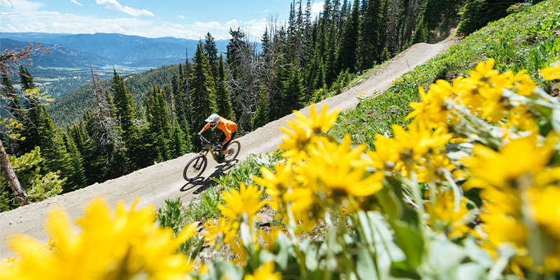 Summer Ski Hill Roundup