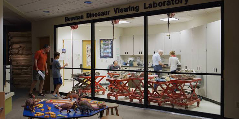 Bowman Viewing Lab