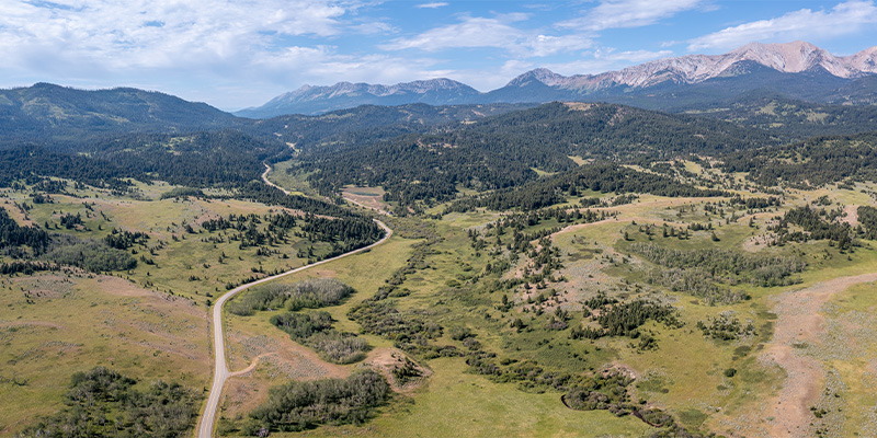 Bridger Canyon