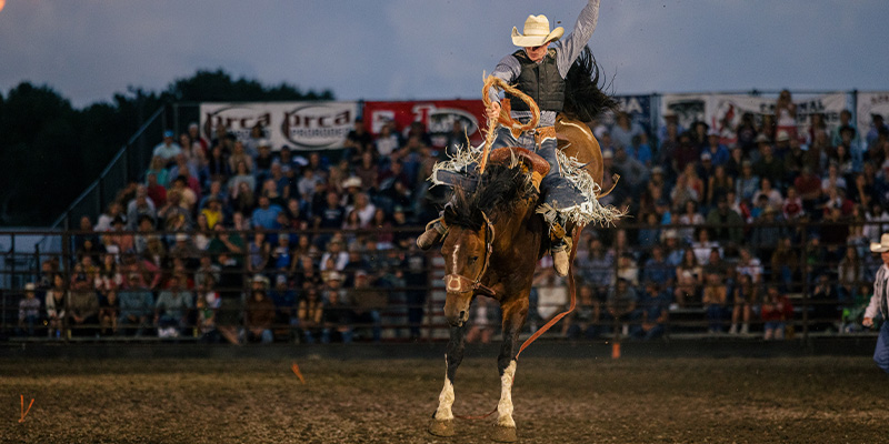 Livingston Roundup Rodeo, Livingston MT