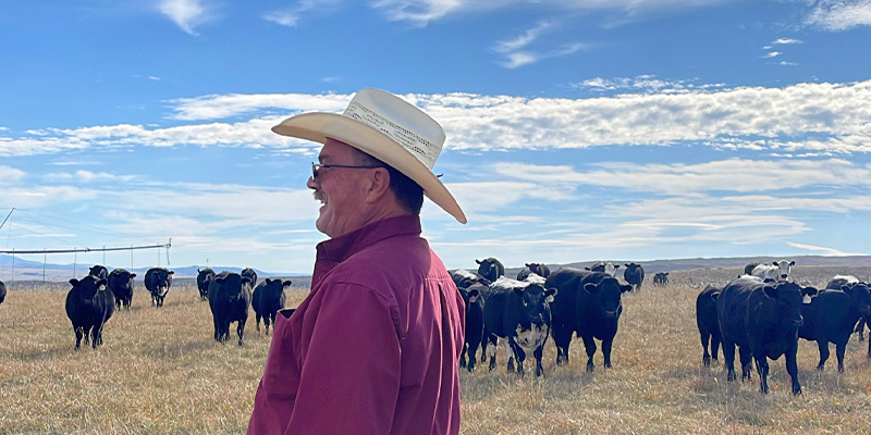 Cattle rancher in Montana, Muddy Creek Ranch
