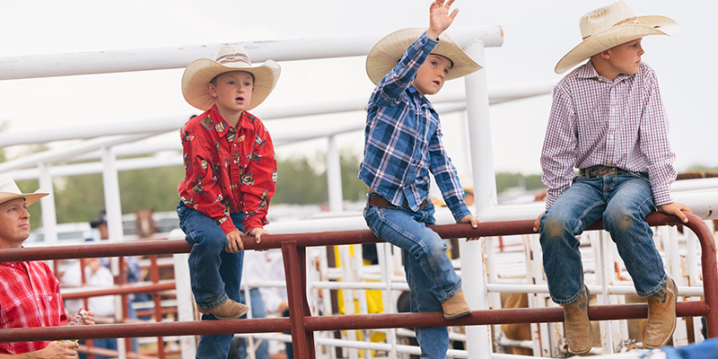 Young cowboys on the rodeo chutes, Red Lodge, Montana.