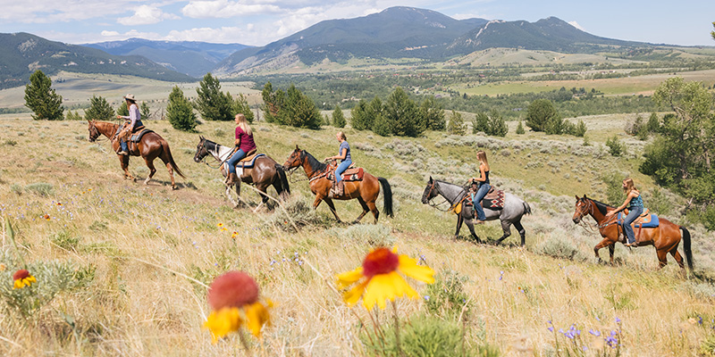Elk River Outfitters, Red Lodge, Montana