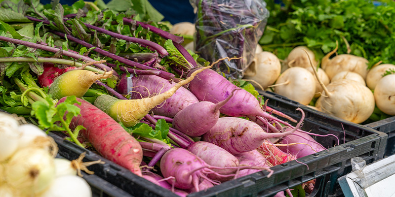Livingston Farmers Market, Montana