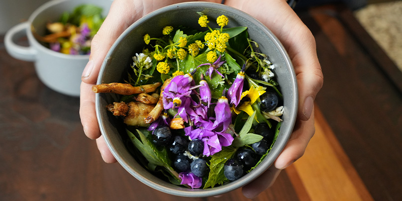 Taste Montana's Wild Side at Feral Feast