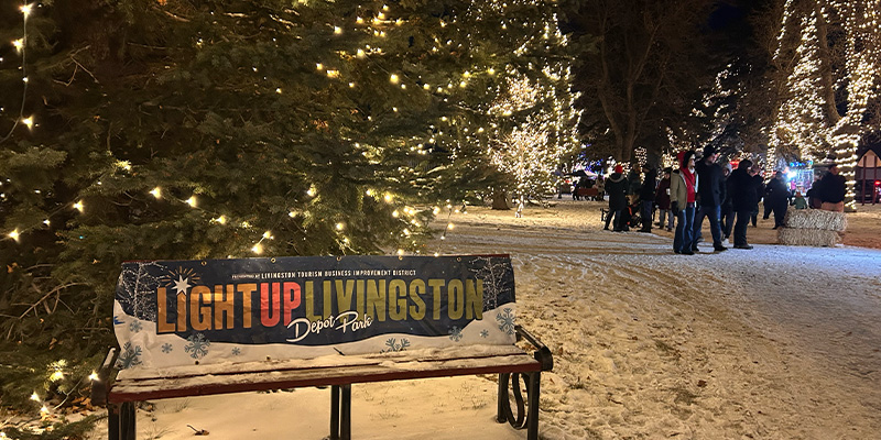 Light up Livingston