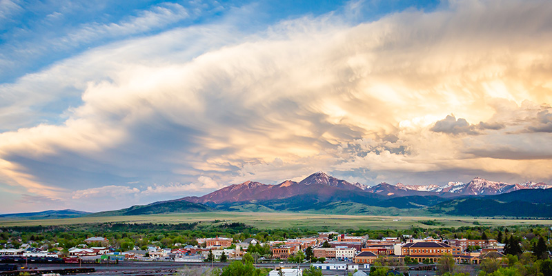 Livingston, photo by Keelia Isaly