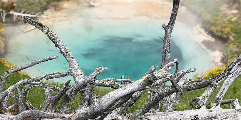 Norris Geyser Basin