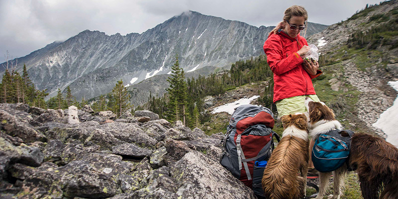 Hiking in the Crazy Mountains with pets