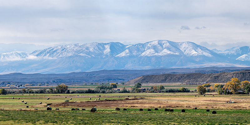Pryor Mountains, Montana