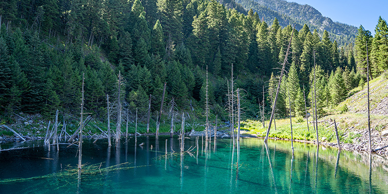 Earthquake Lake