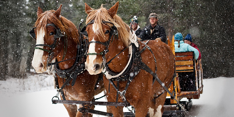 Horse drawn sleigh ride, dinner, Lone Mountain Ranch, Big Sky, Montana