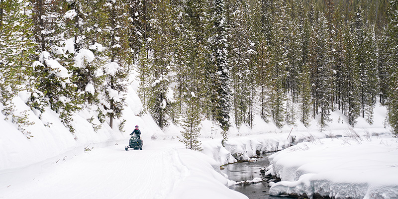 Two-top trail, West Yellowstone