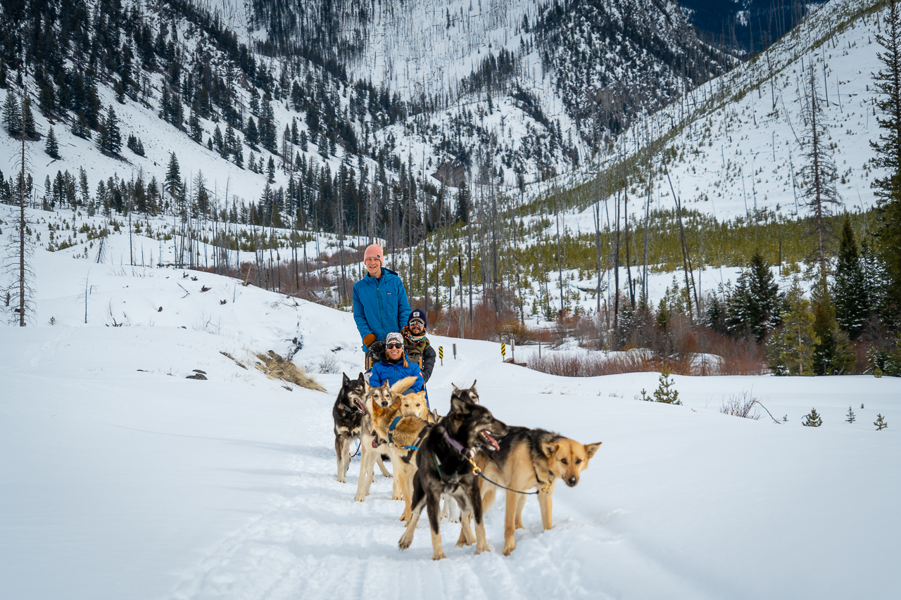 Dog sledding in Paradise Valley, Montana