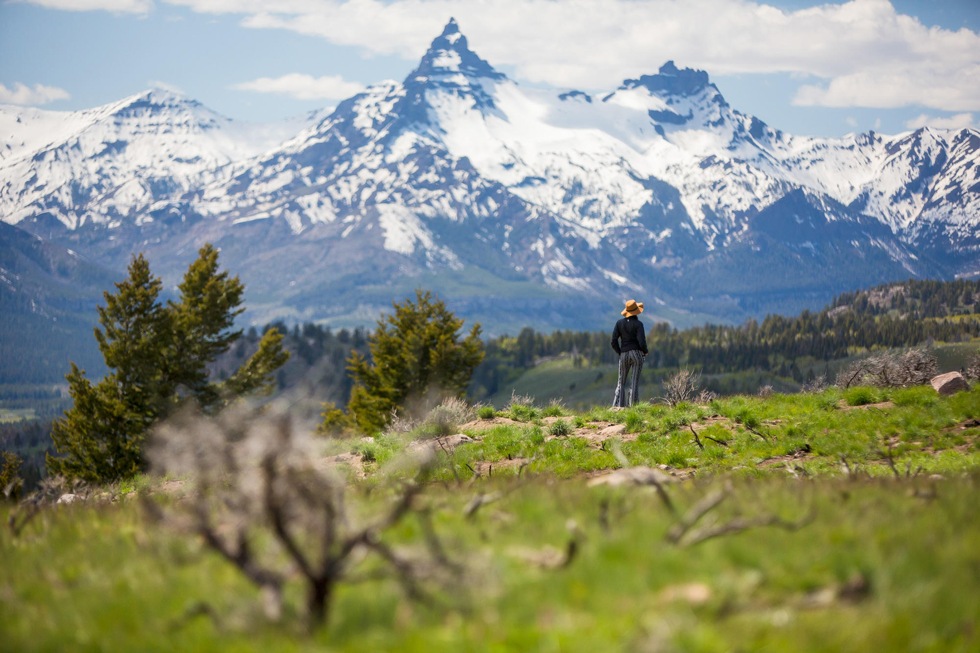 Photos that Prove that the Beartooth Highway is the Most Beautiful ...