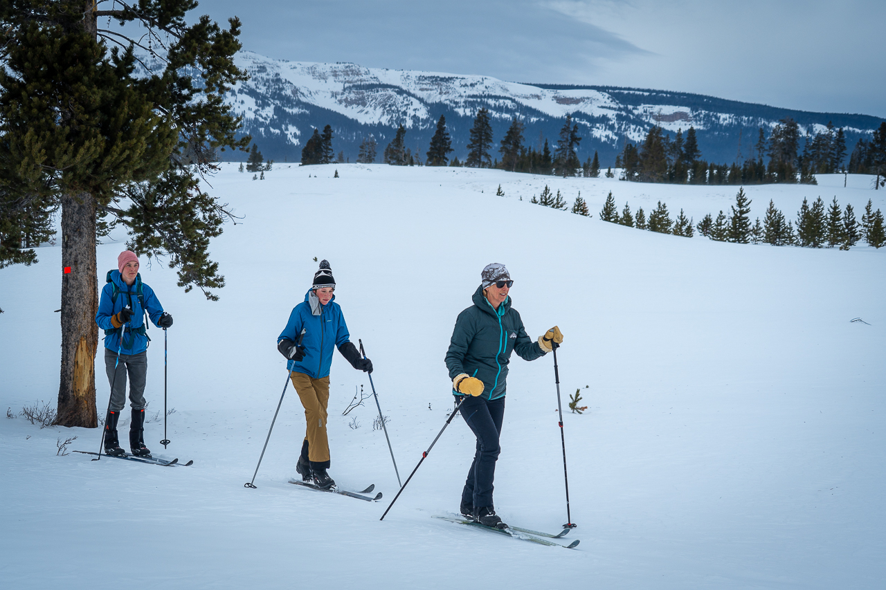 Nordic skiing, Bighorn Trail, Yellowstone National Park